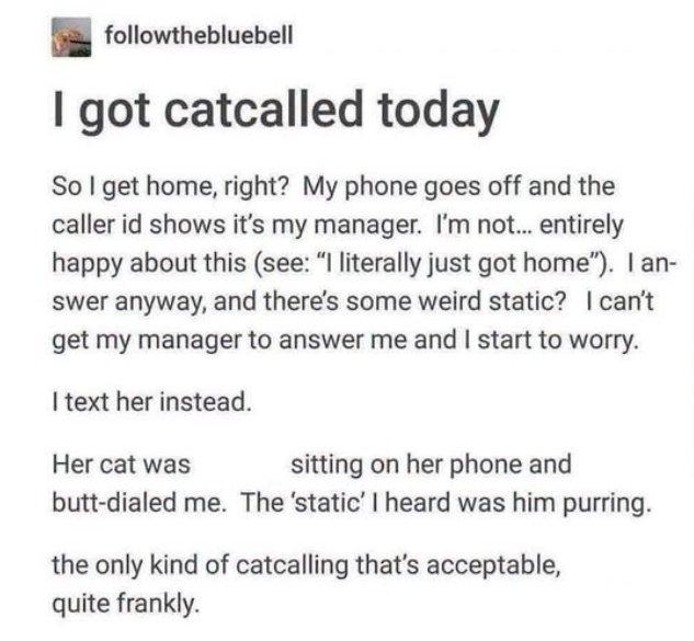 catcalled caturday majorgeeks.jpg